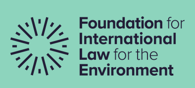 Foundation for International Law for the Environment (FILE) 